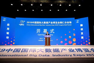 2019中國國際大數據產業博覽會銅仁分會場開幕 共繪“智慧銅仁”新藍圖